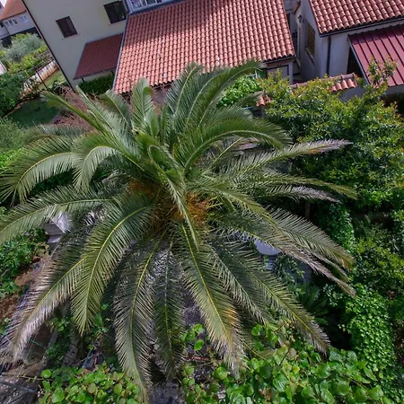 Cozy With Breakfast On Request 1 * Pola